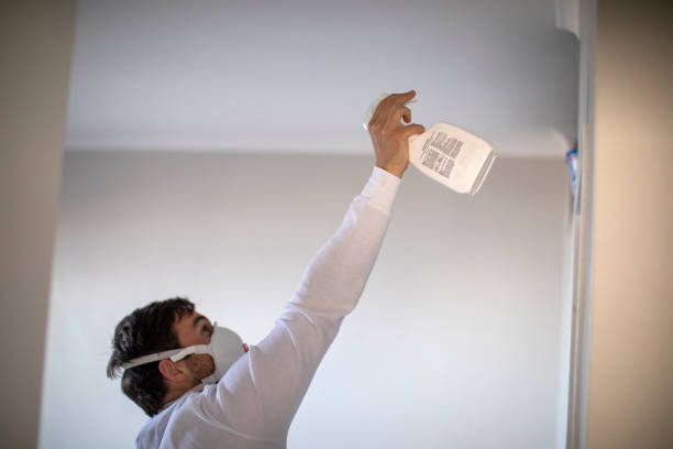 Best Mold Damage Repair  in Upland, CA