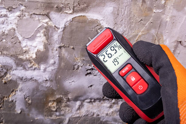 Best Fast Mold Removal  in Upland, CA