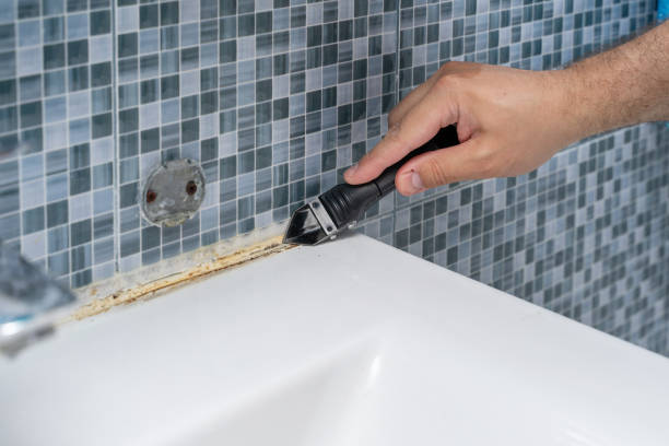 Best Attic Mold Removal  in Upland, CA